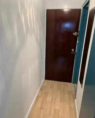 50 M *